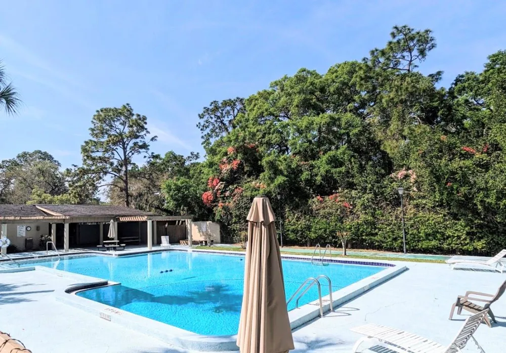 3205 DEER COURT Brandon, FL 33511