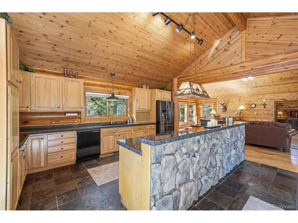 21466 Indian Springs Road Conifer, CO 80433