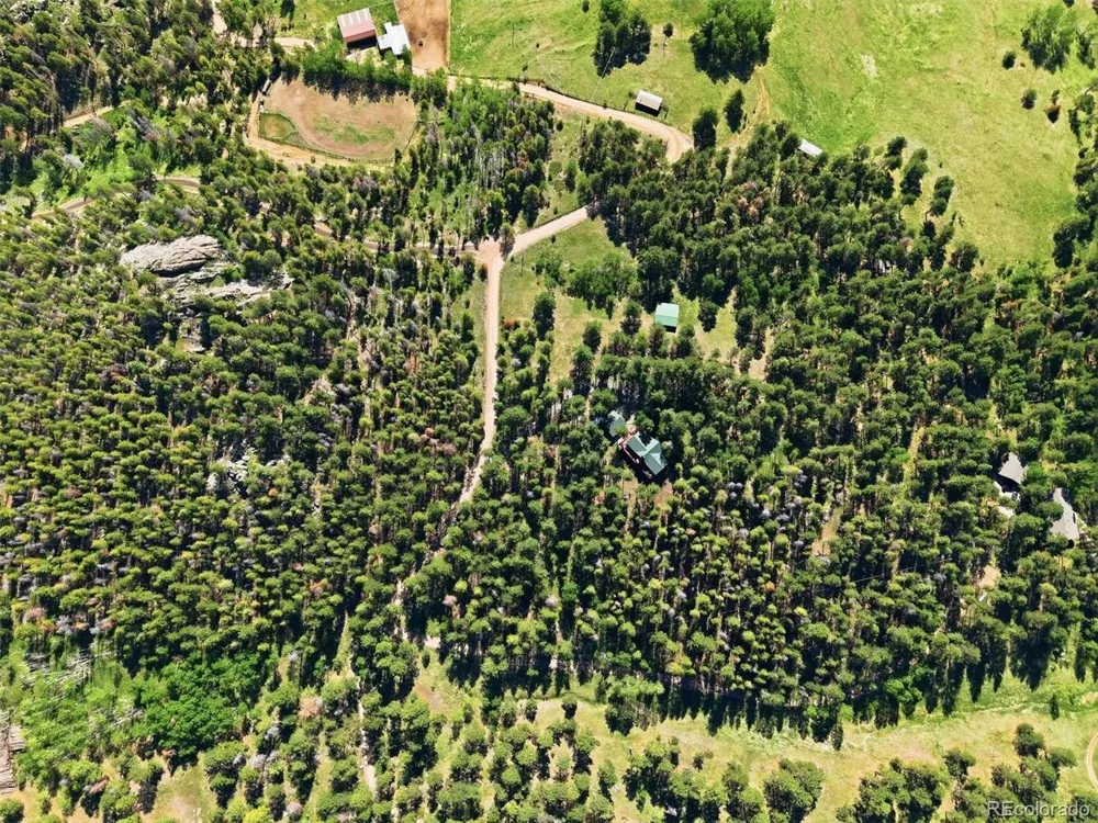 21466 Indian Springs Road Conifer, CO 80433