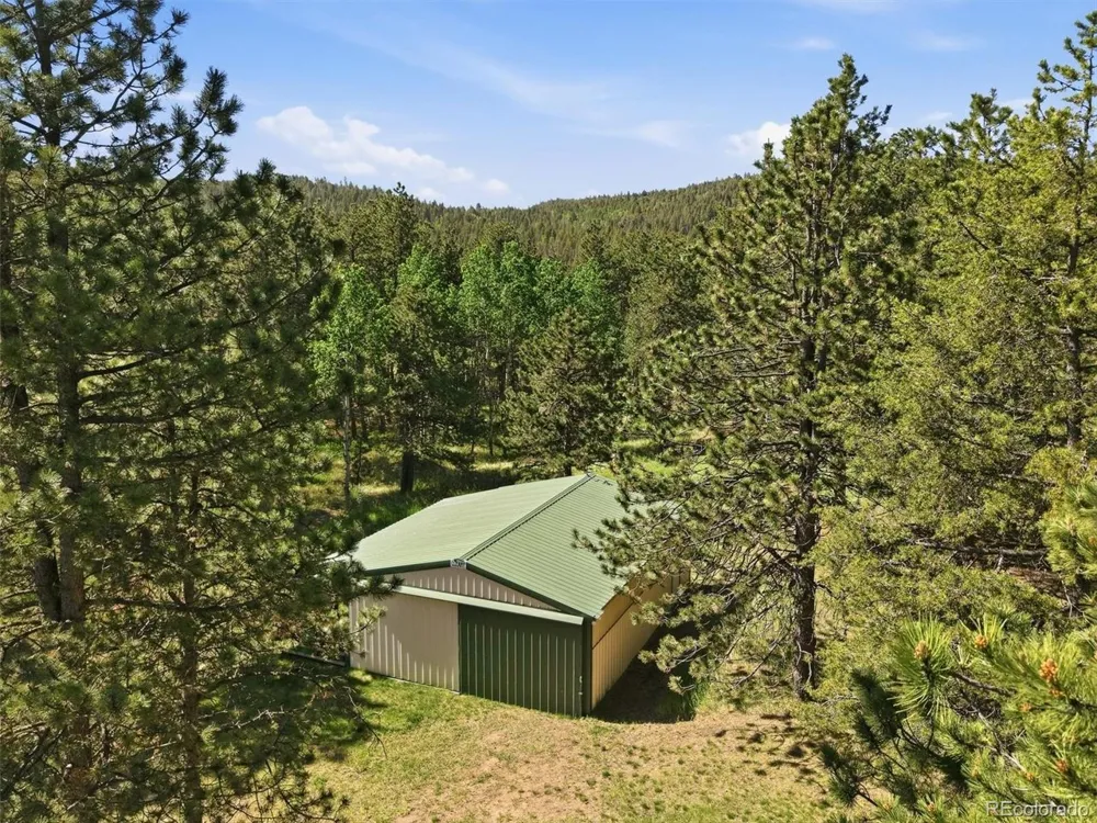 21466 Indian Springs Road Conifer, CO 80433