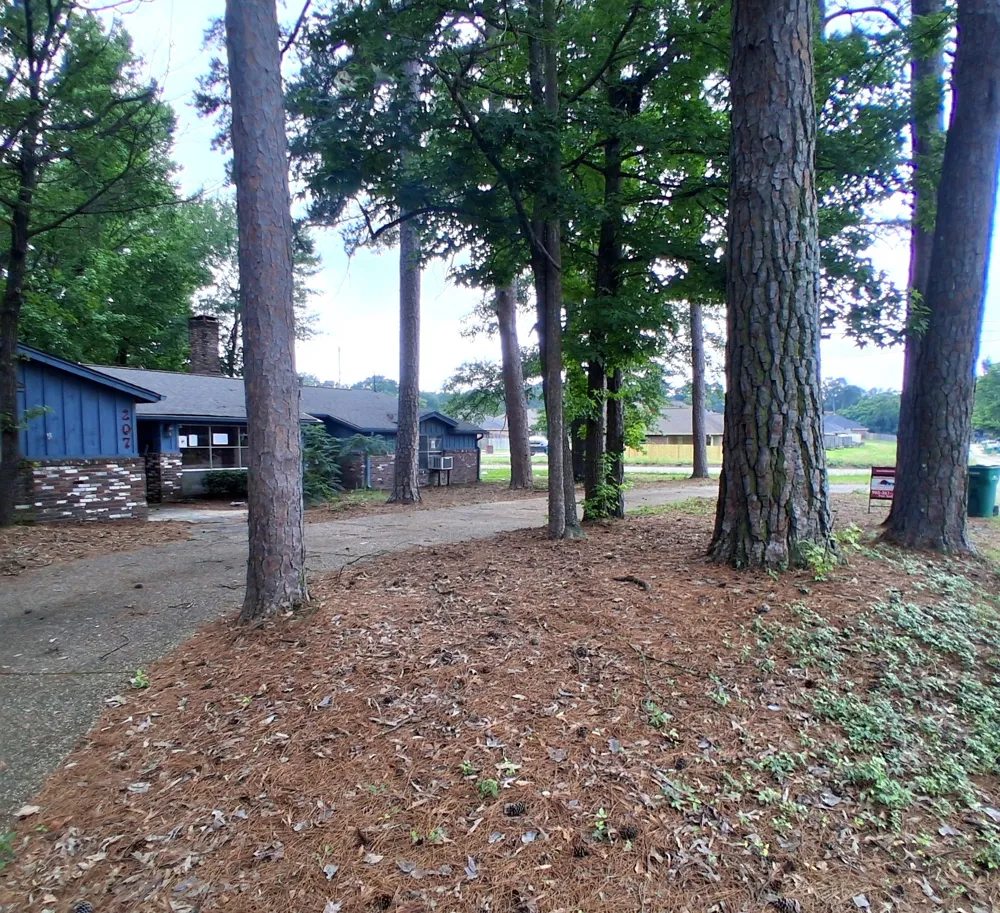 207 Wildwood Drive Texarkana, TX 75501