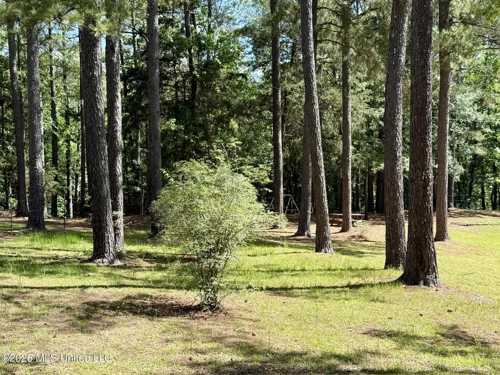 11036 Attala Road 4202 Kosciusko, MS 39090