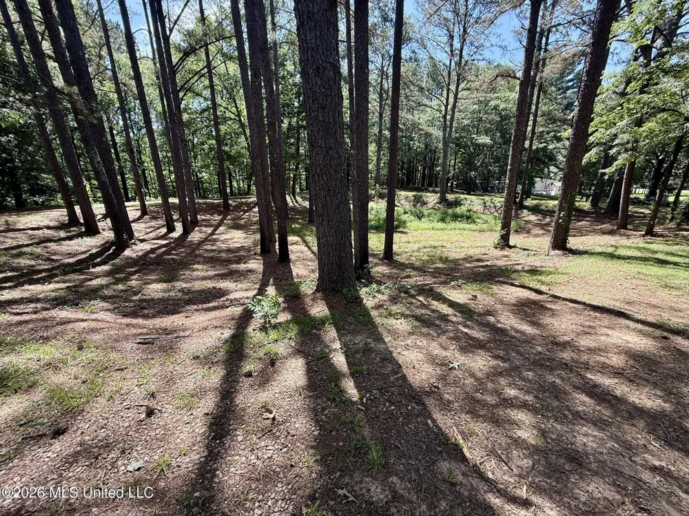 11036 Attala Road 4202 Kosciusko, MS 39090