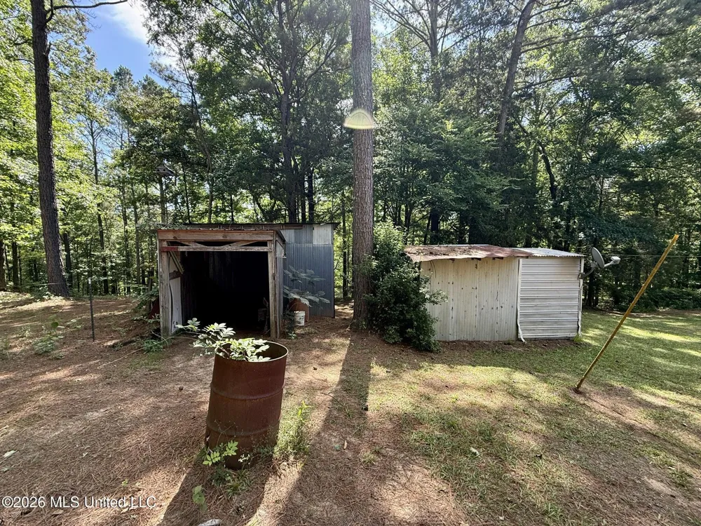 11036 Attala Road 4202 Kosciusko, MS 39090