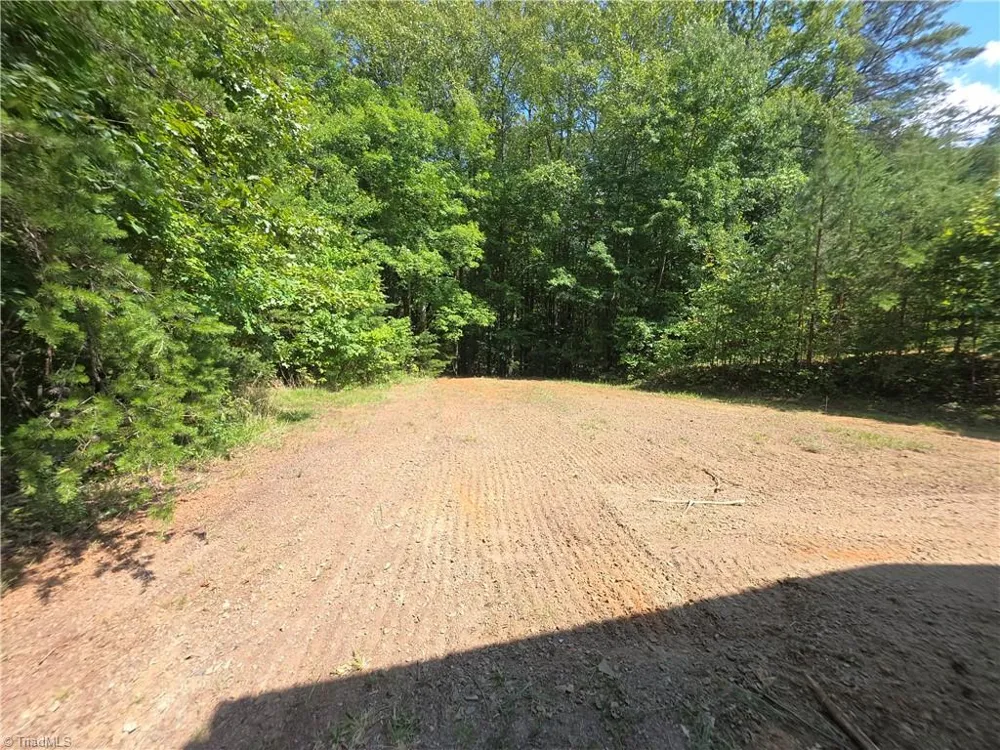 102 Hawks Road King, NC 27021