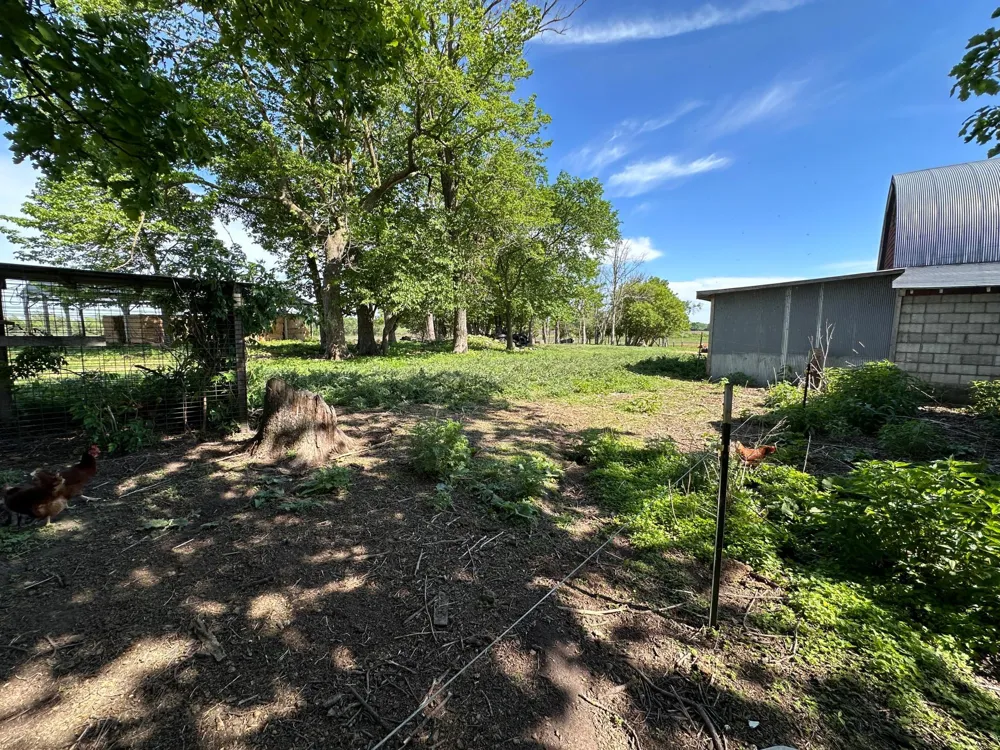 27858 570th Avenue Deer Creek, MN 56527
