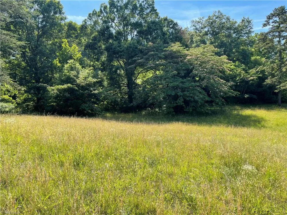 1308 White Street Lexington, NC 27295