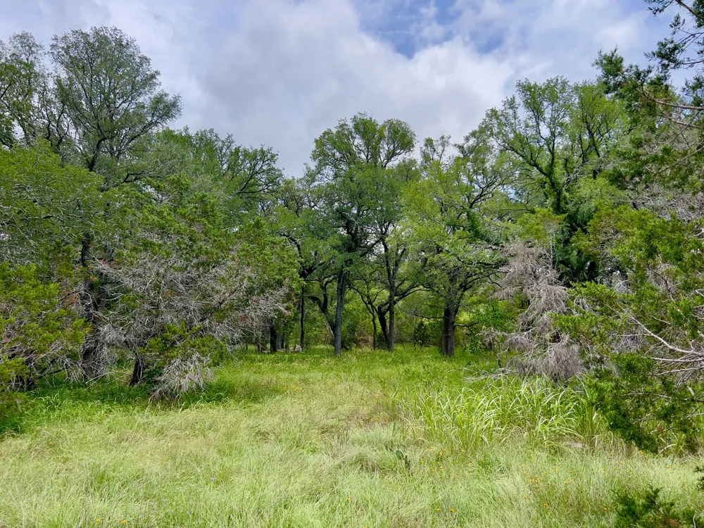 19 Narrows Road Blanco, TX 78606