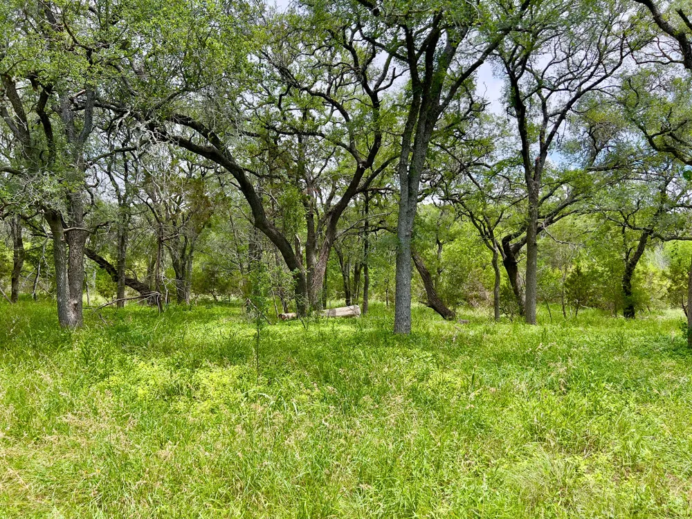 19 Narrows Road Blanco, TX 78606