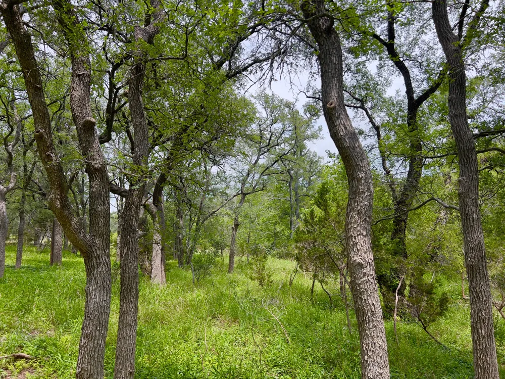 19 Narrows Road Blanco, TX 78606
