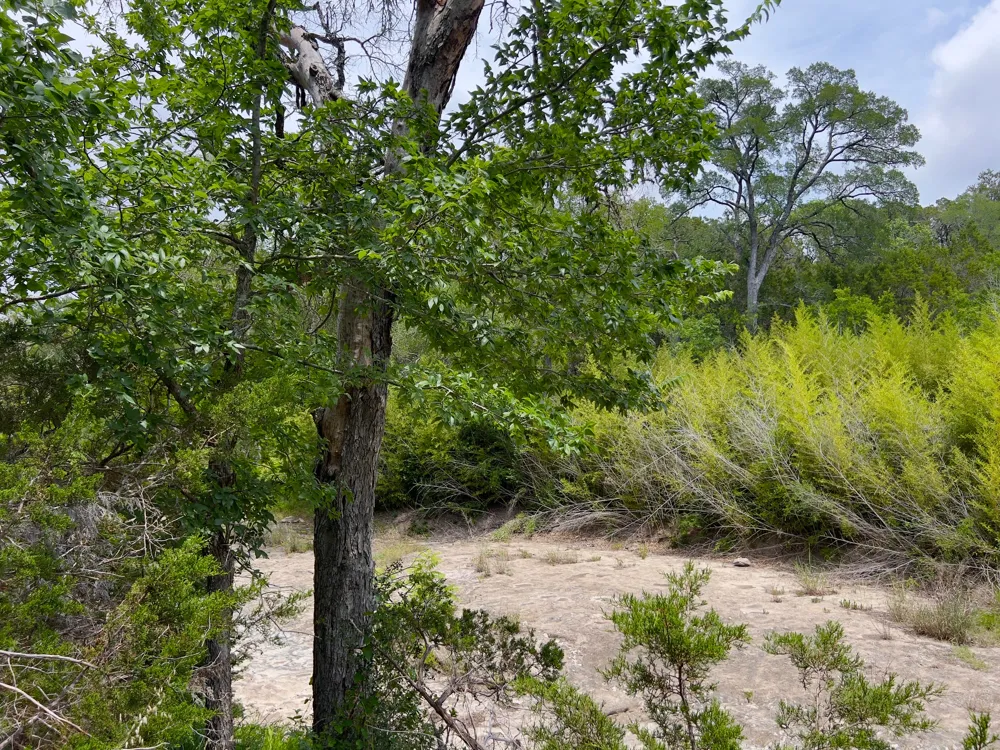 19 Narrows Road Blanco, TX 78606