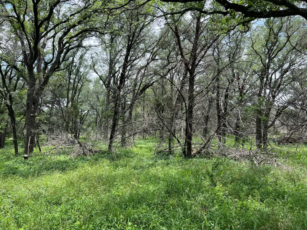 19 Narrows Road Blanco, TX 78606