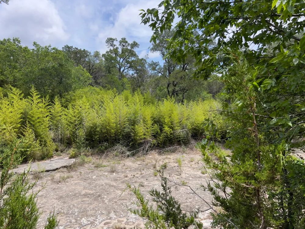 19 Narrows Road Blanco, TX 78606