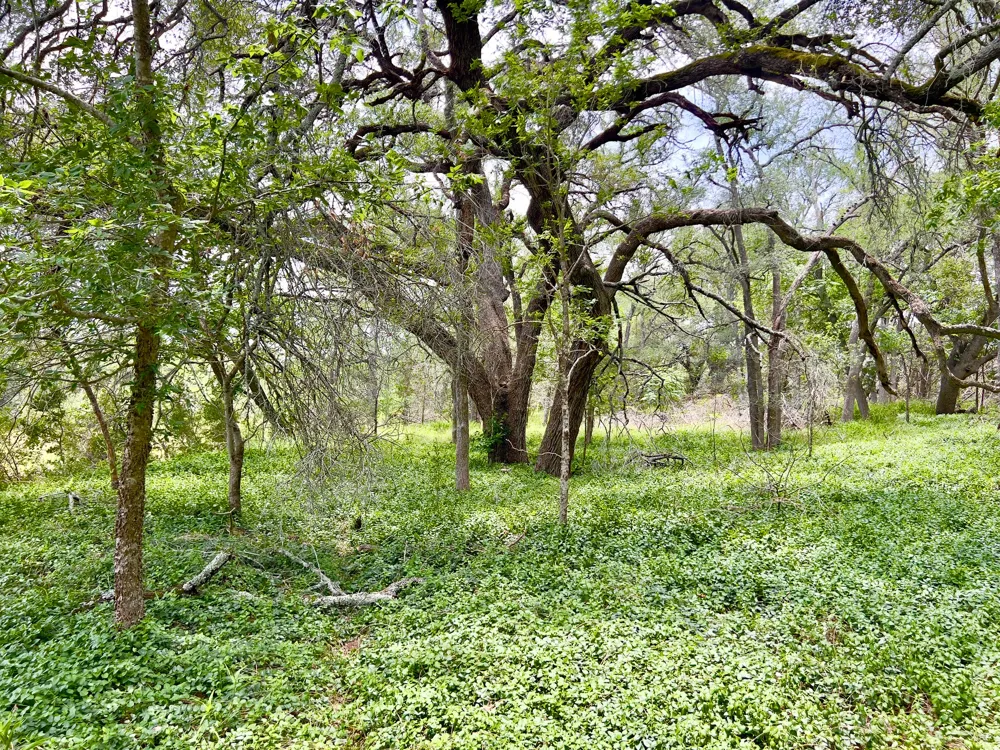 19 Narrows Road Blanco, TX 78606