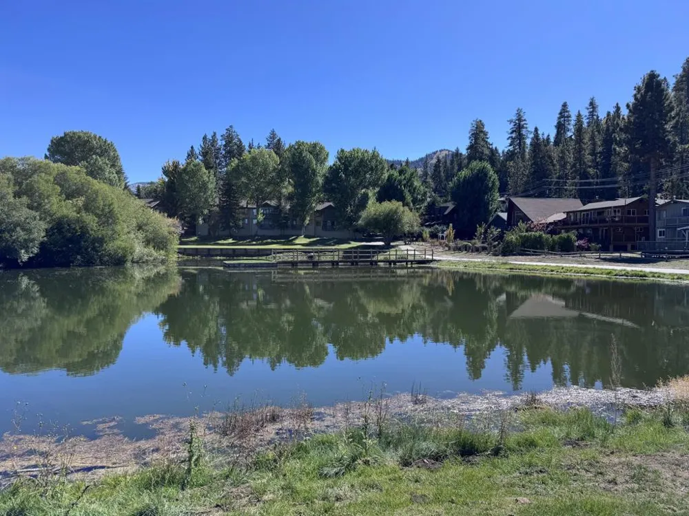43063 Goldmine Woods Lane Big Bear, CA 92315