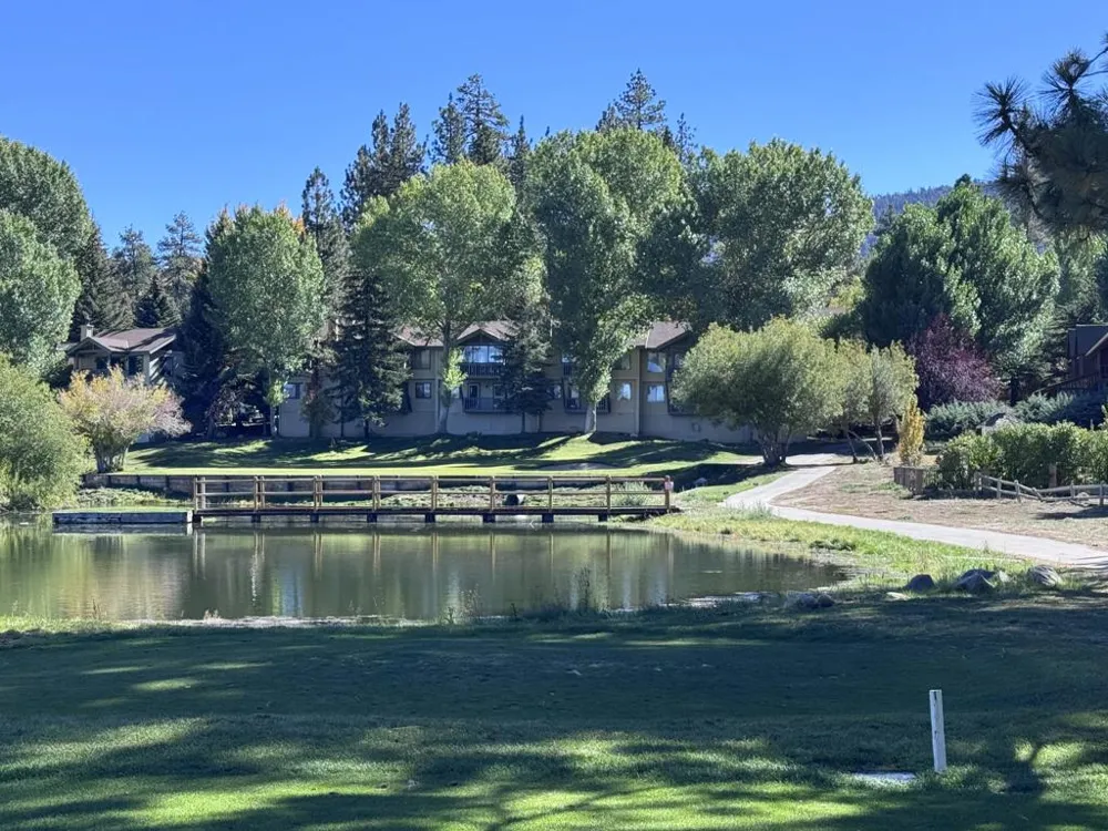 43063 Goldmine Woods Lane Big Bear, CA 92315