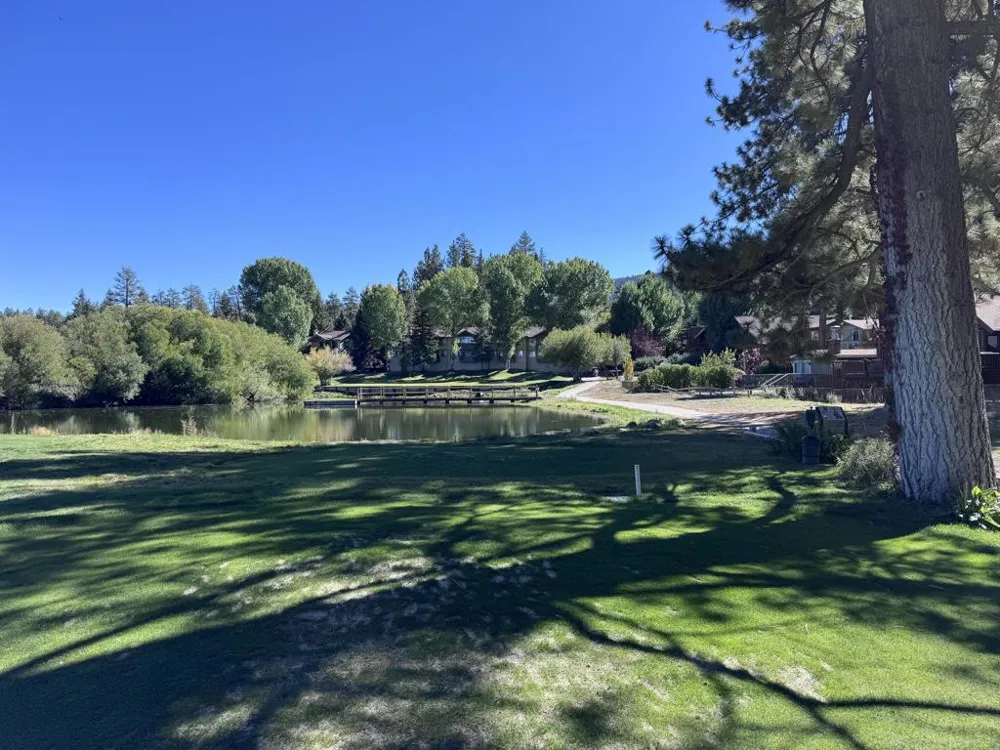 43063 Goldmine Woods Lane Big Bear, CA 92315