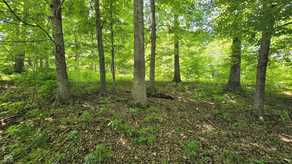 19205 Michigan Road Marysville, IN 47141