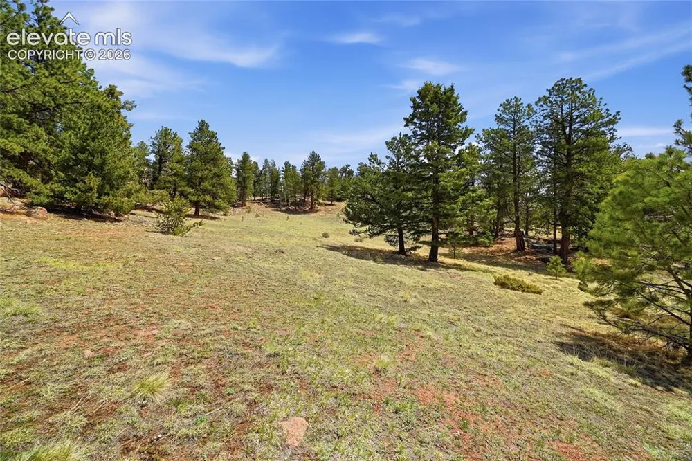 7070 County Road 1 Cripple Creek, CO 80813
