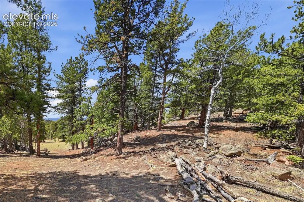 7070 County Road 1 Cripple Creek, CO 80813
