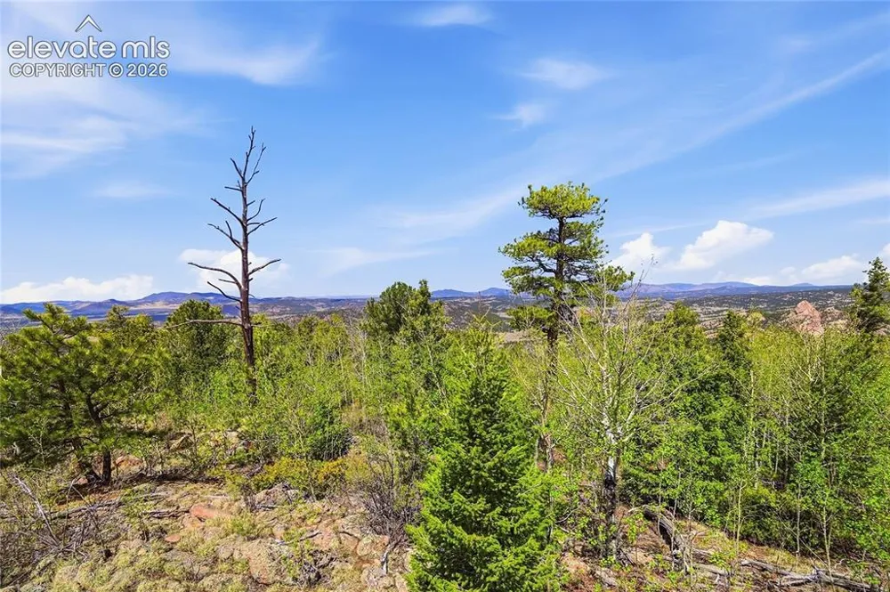 7070 County Road 1 Cripple Creek, CO 80813