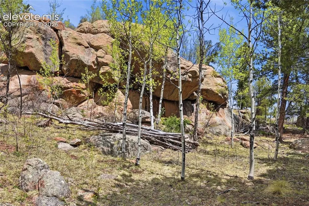 7070 County Road 1 Cripple Creek, CO 80813