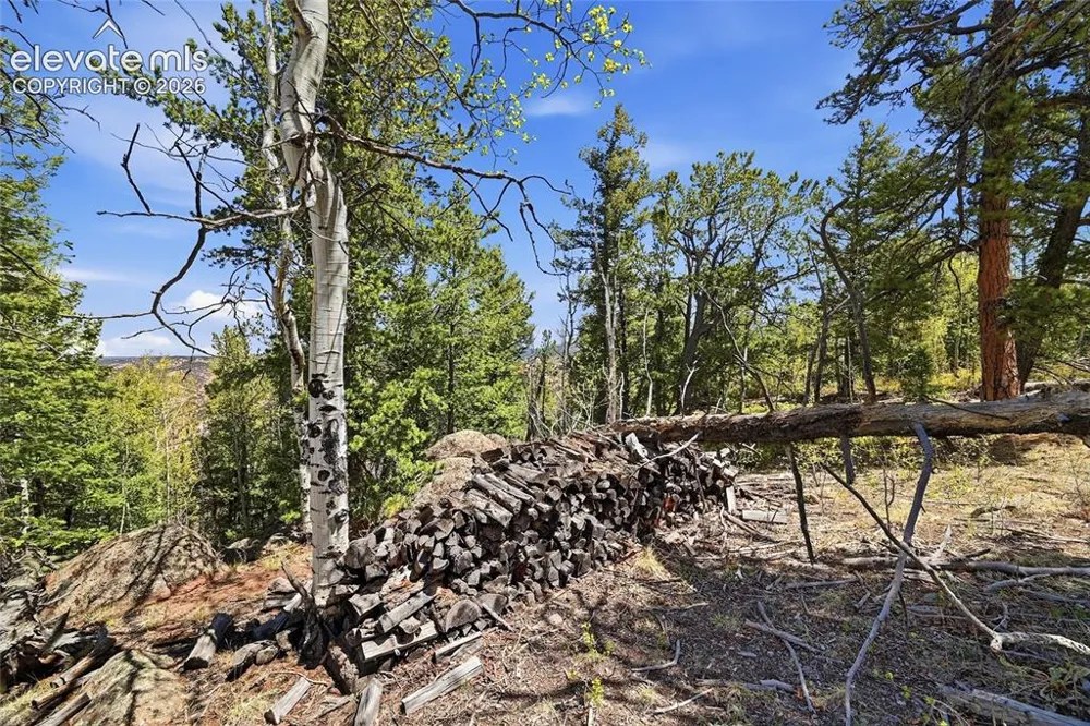 7070 County Road 1 Cripple Creek, CO 80813