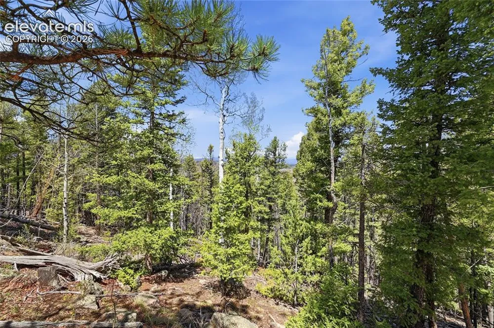 7070 County Road 1 Cripple Creek, CO 80813