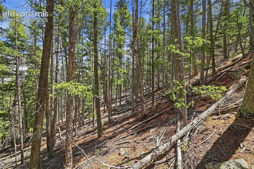 7070 County Road 1 Cripple Creek, CO 80813