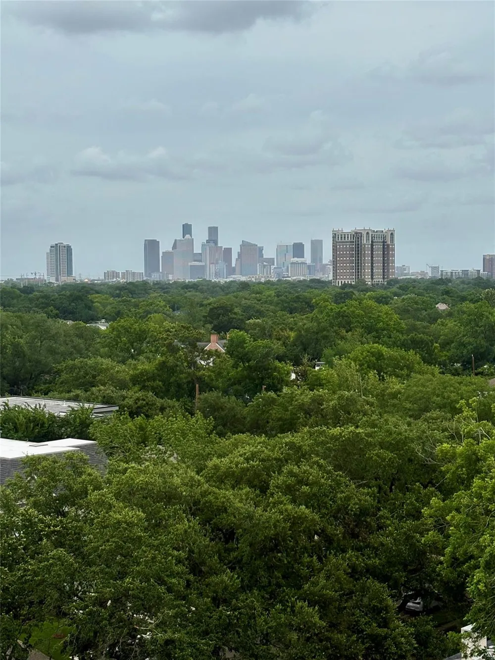 2360 S Rice Boulevard #PH1301 Houston, TX 77005
