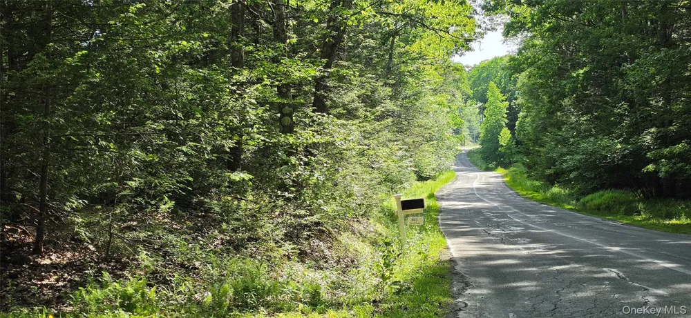 00 Church aka Pan Am Road Mountain Dale, NY 12763
