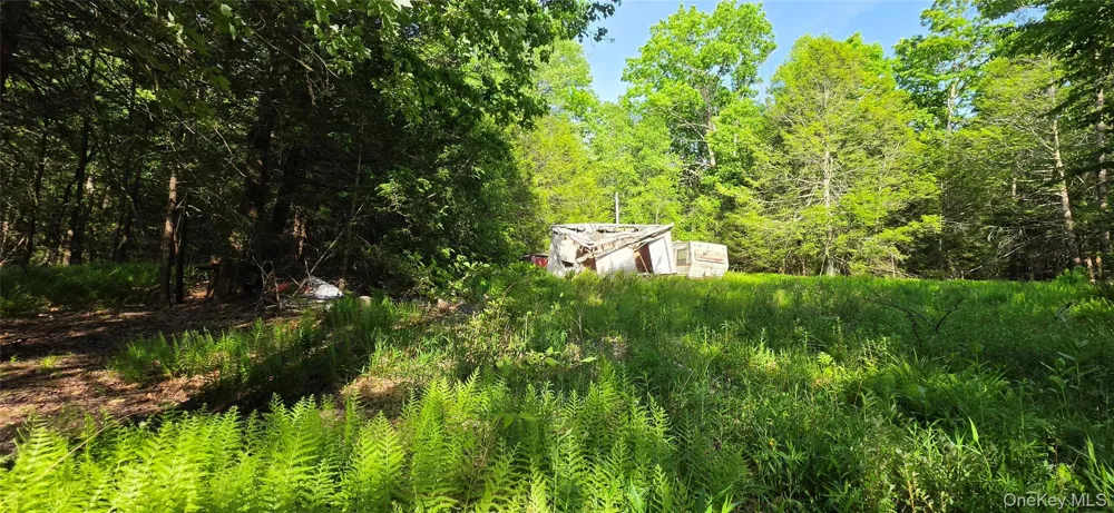 00 Church aka Pan Am Road Mountain Dale, NY 12763