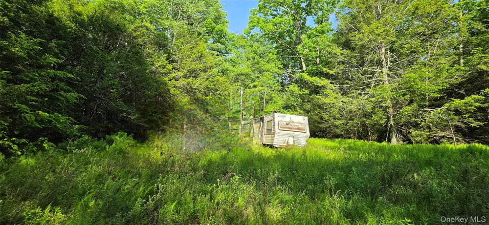 00 Church aka Pan Am Road Mountain Dale, NY 12763