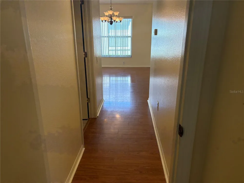 924 RIDGE HAVEN DRIVE Brandon, FL 33511