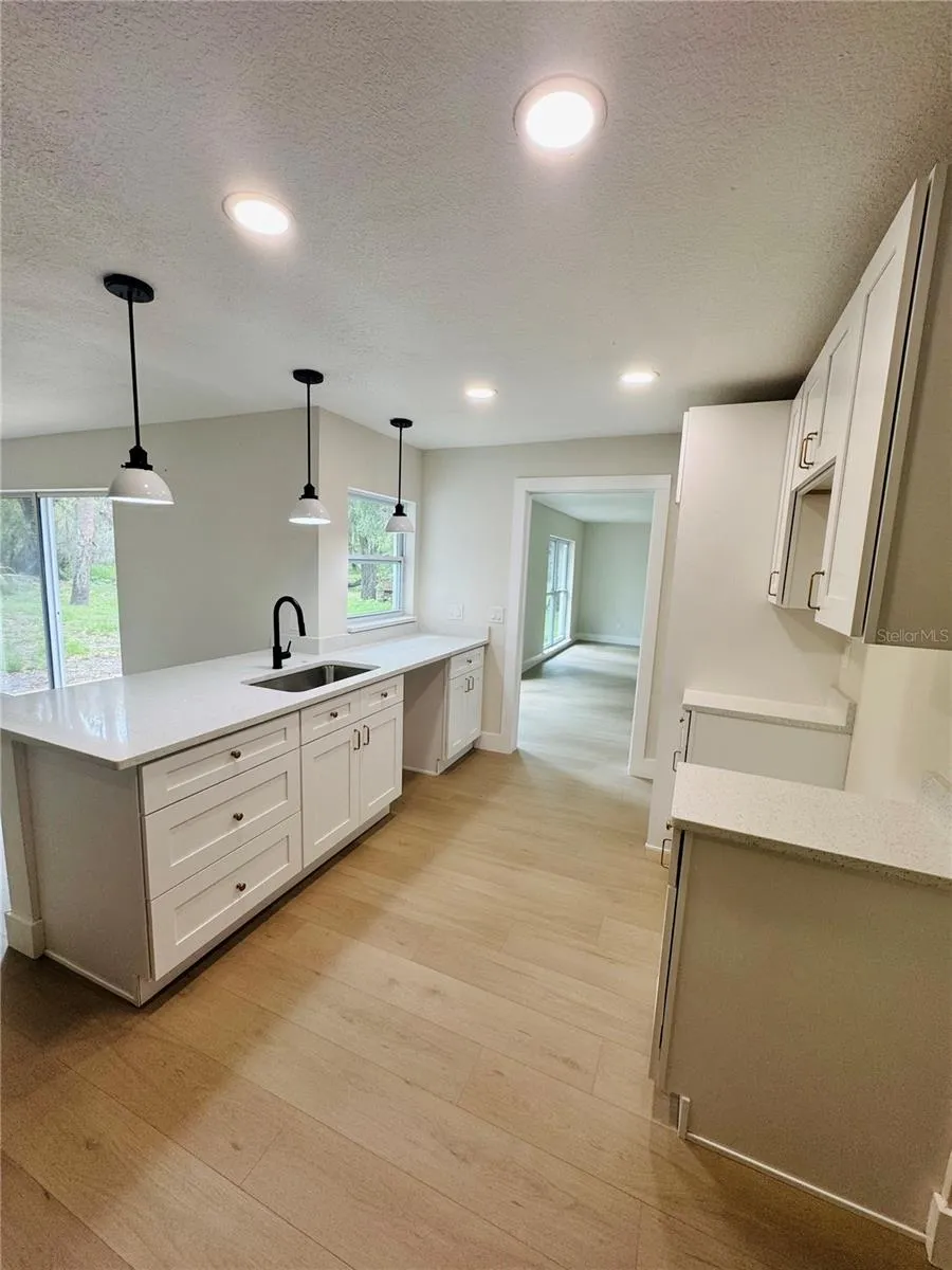 4405 COCONUT COVE PLACE Valrico, FL 33596