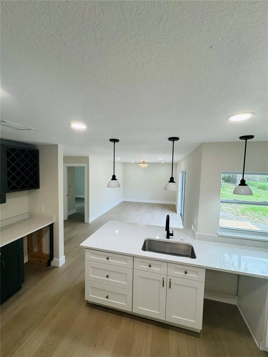 4405 COCONUT COVE PLACE Valrico, FL 33596