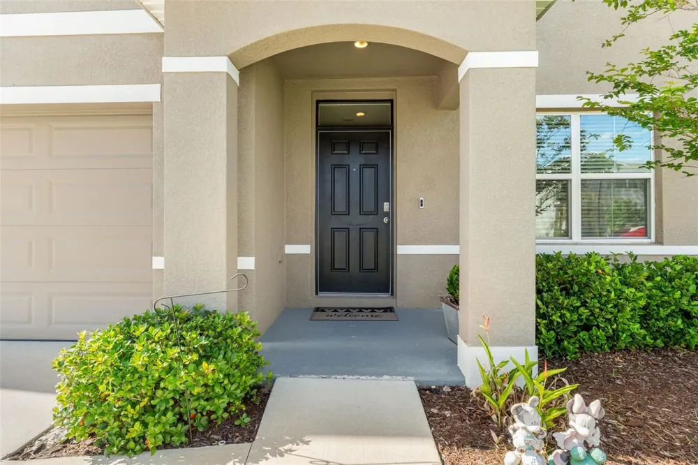 33567 HAMILTON HILL LANE Wesley Chapel, FL 33545