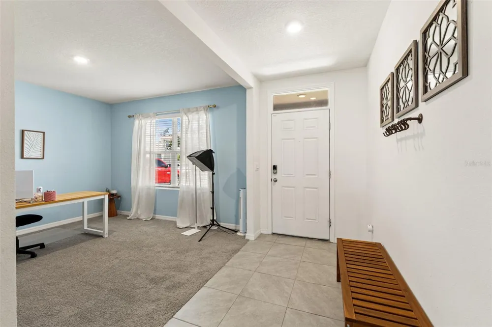 33567 HAMILTON HILL LANE Wesley Chapel, FL 33545