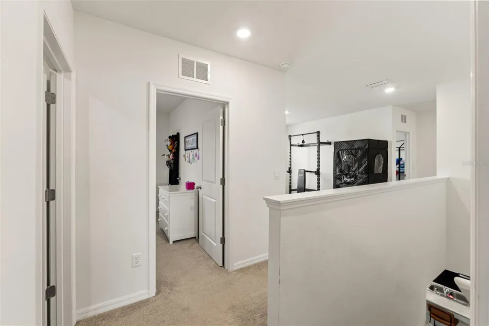 33567 HAMILTON HILL LANE Wesley Chapel, FL 33545