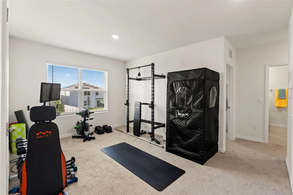 33567 HAMILTON HILL LANE Wesley Chapel, FL 33545