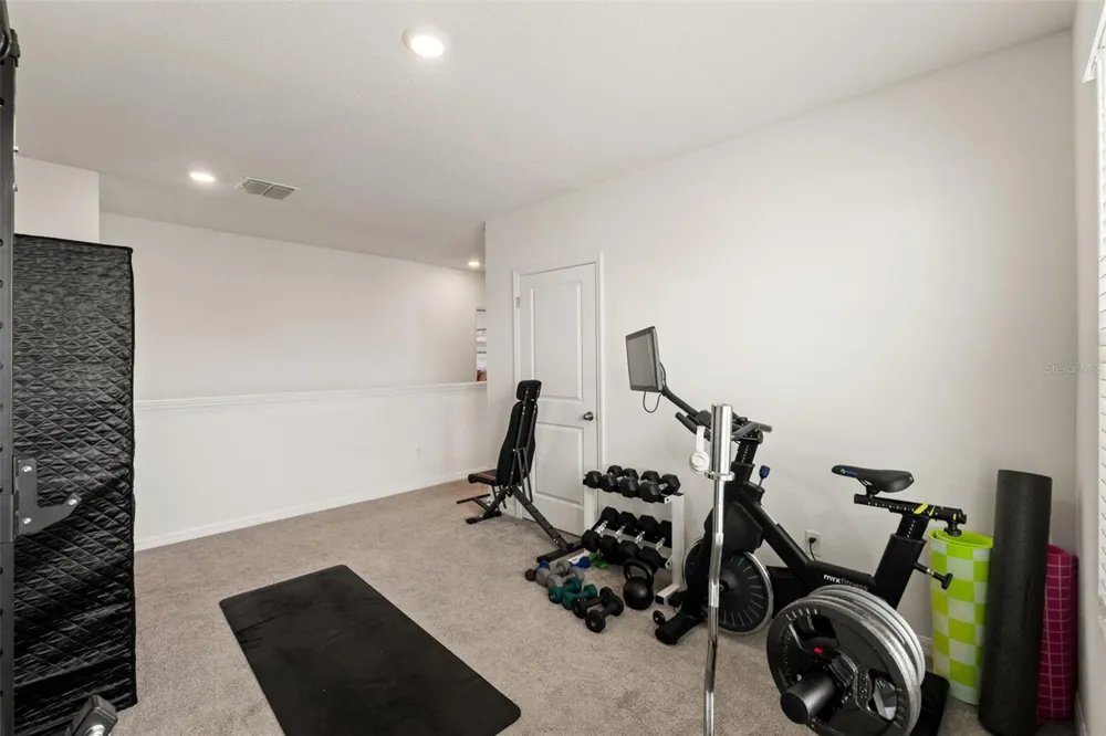 33567 HAMILTON HILL LANE Wesley Chapel, FL 33545