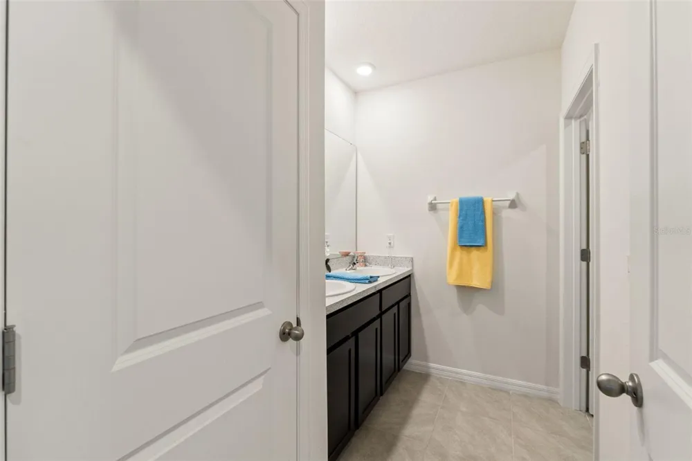 33567 HAMILTON HILL LANE Wesley Chapel, FL 33545