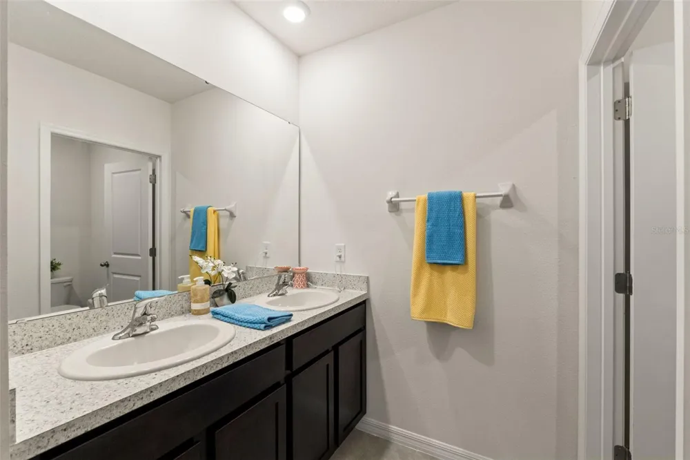 33567 HAMILTON HILL LANE Wesley Chapel, FL 33545