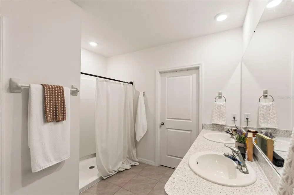 33567 HAMILTON HILL LANE Wesley Chapel, FL 33545