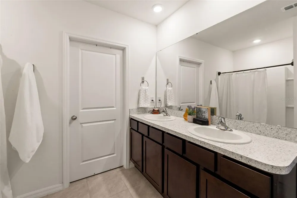 33567 HAMILTON HILL LANE Wesley Chapel, FL 33545