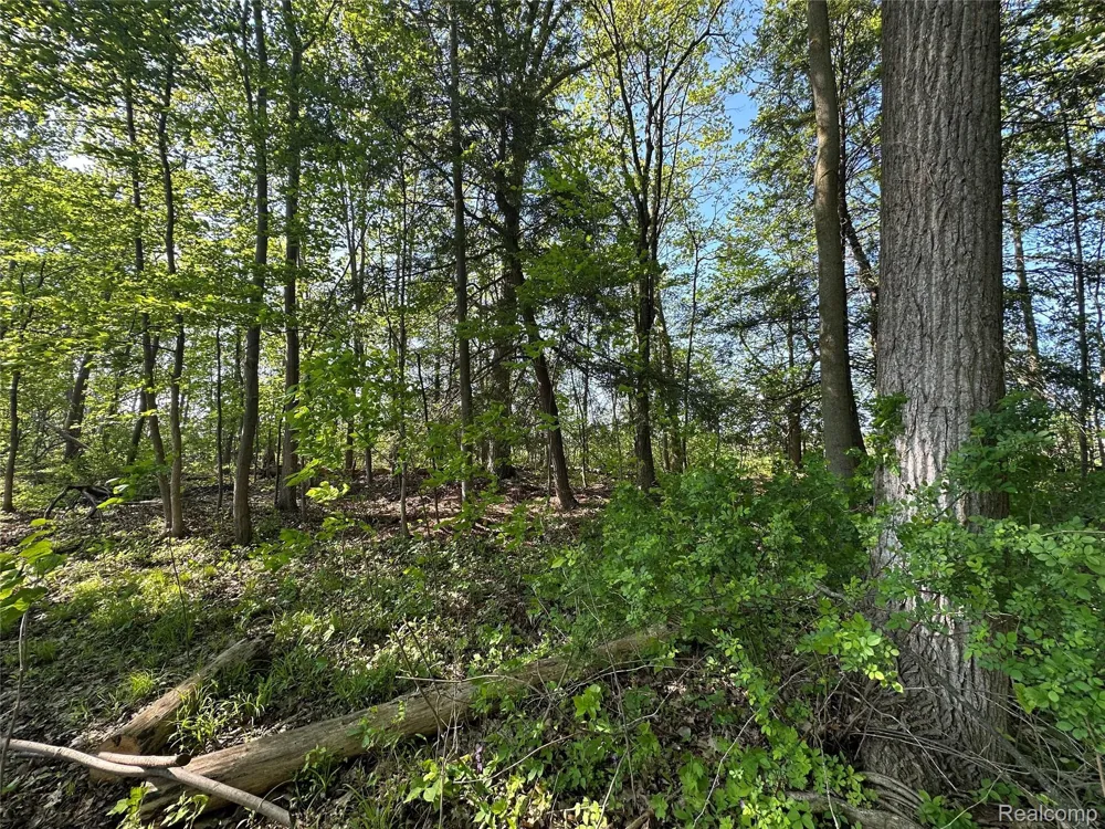 4233 State Road Fort Gratiot Charter Township, MI 48059