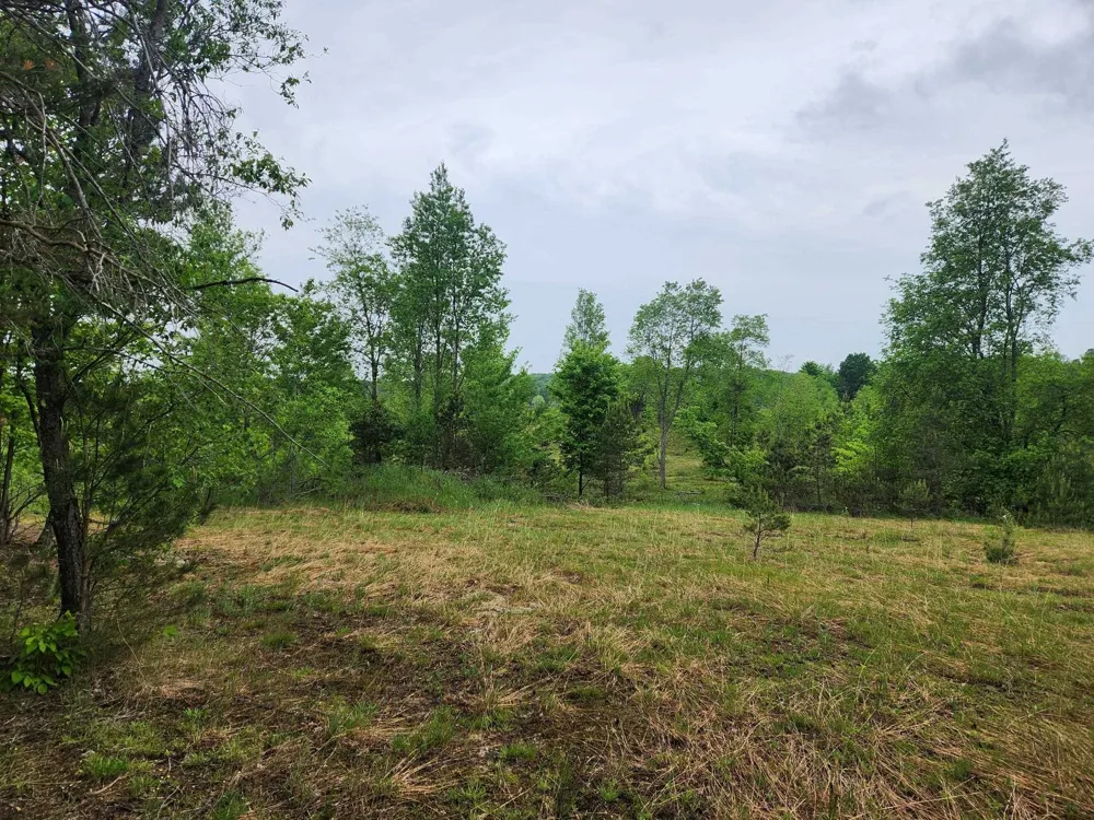 5948 Kniss Road Oliver Township, MI 49646