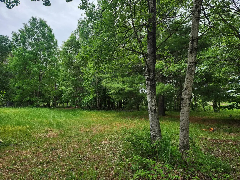 5948 Kniss Road Oliver Township, MI 49646