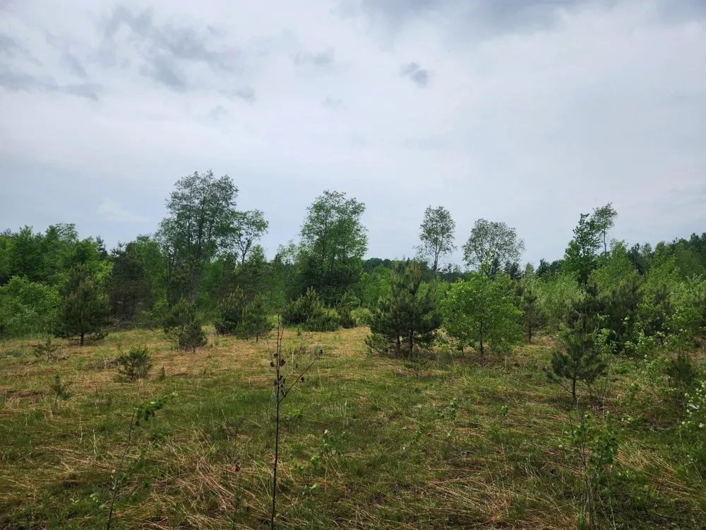5948 Kniss Road Oliver Township, MI 49646