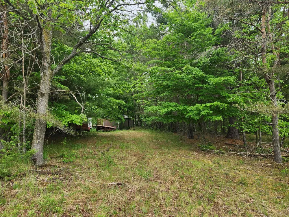 5948 Kniss Road Oliver Township, MI 49646